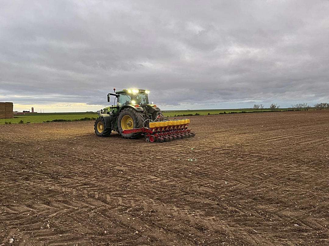 04 1 siembra garbanzos labajos
