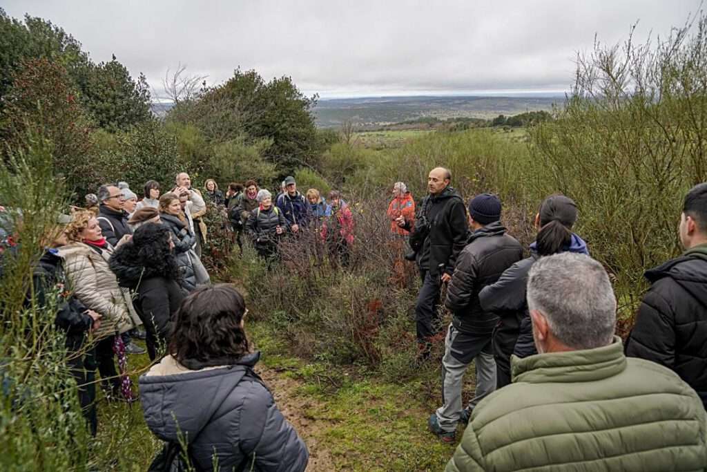 Una de las visitas guiadas al acebal de Prádena. Una de las visitas guiadas al acebal de Prádena.
