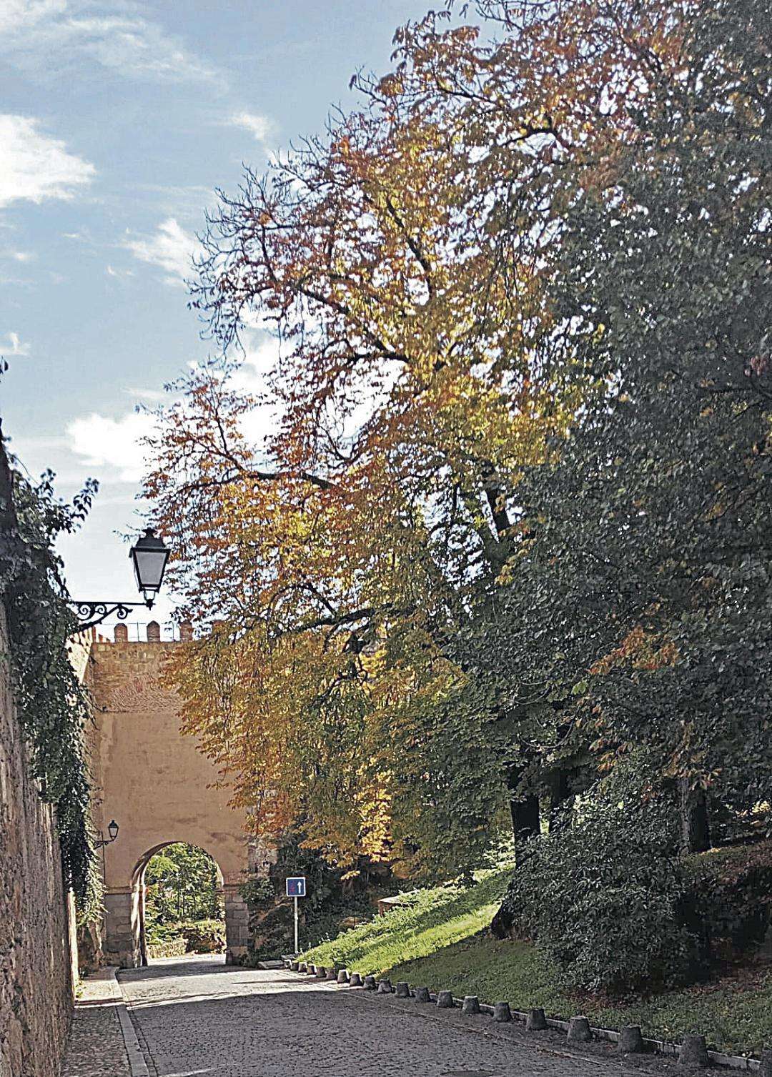 La Puerta de San Cebrián con su escolta de castaños de Indias. J. I. Davía.