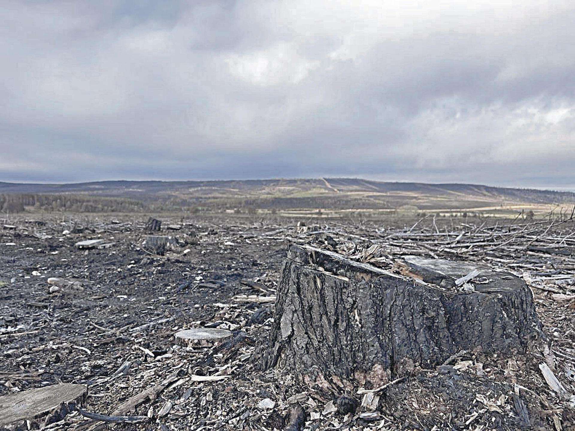 La Sierra de la Culebra tras el incendio.