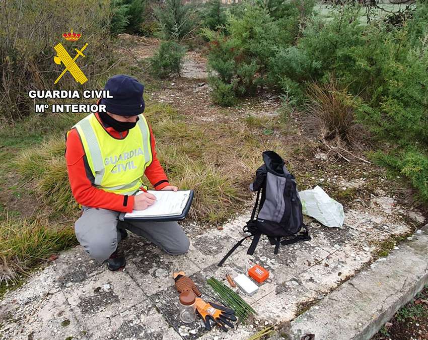 Dos investigados en Las Merindades (Burgos) por emplear m�dos prohibidos para capturar jilgueros