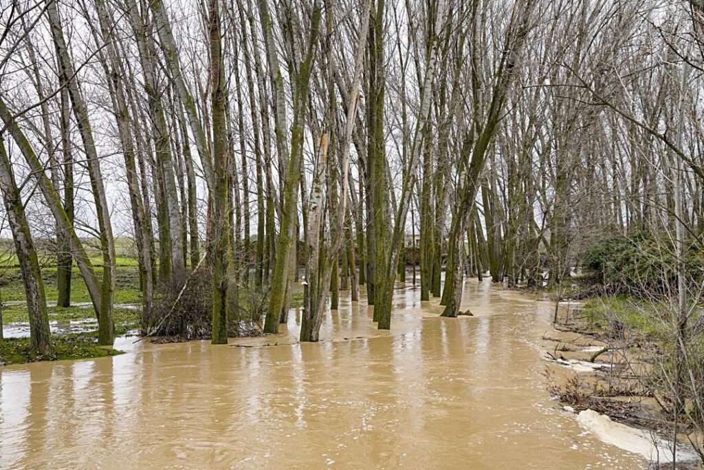 Temporal de Lluvia Temporal de Lluvia