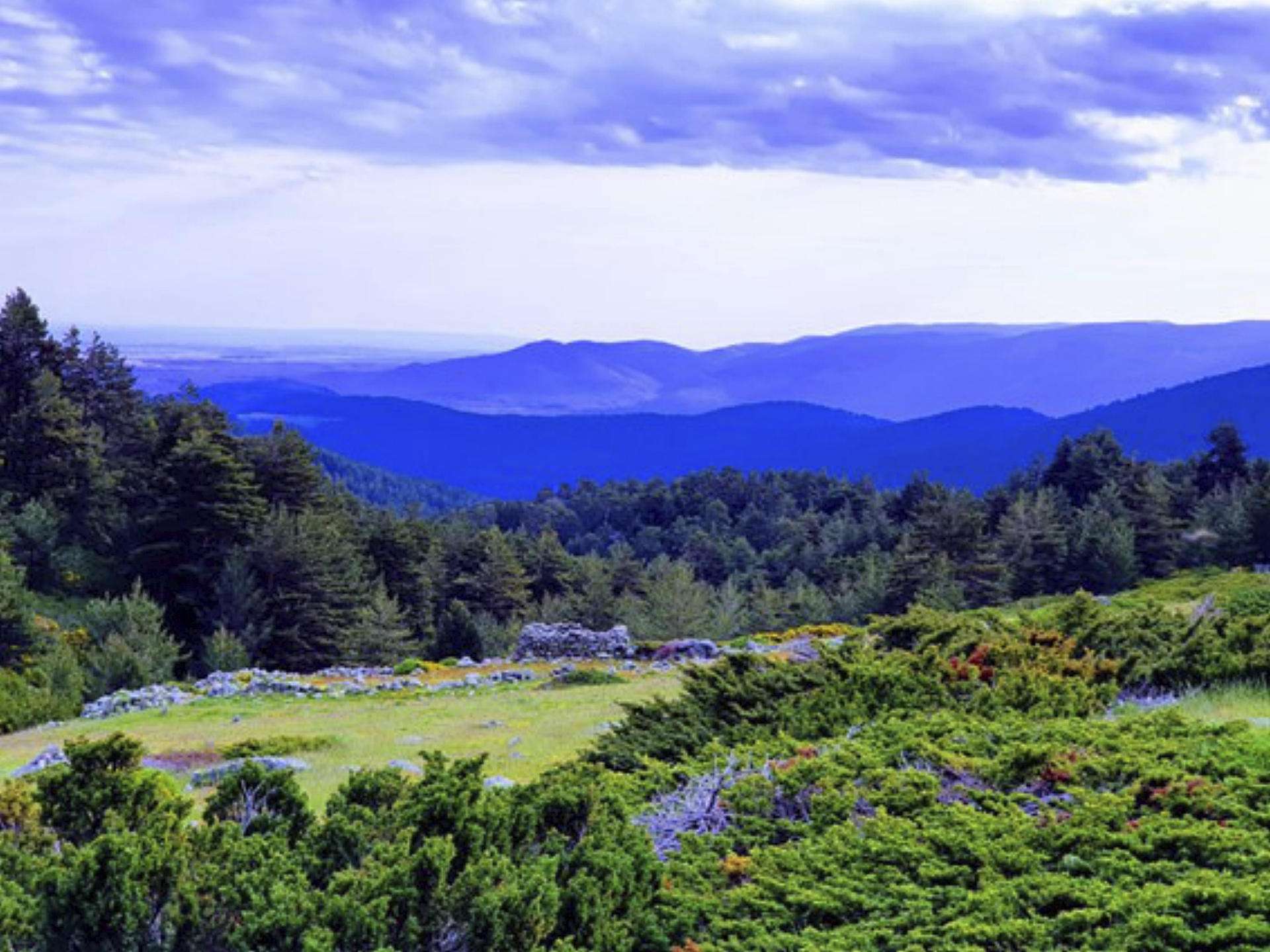 ‘Los corrales de las cabras’ CEIP La Pradera