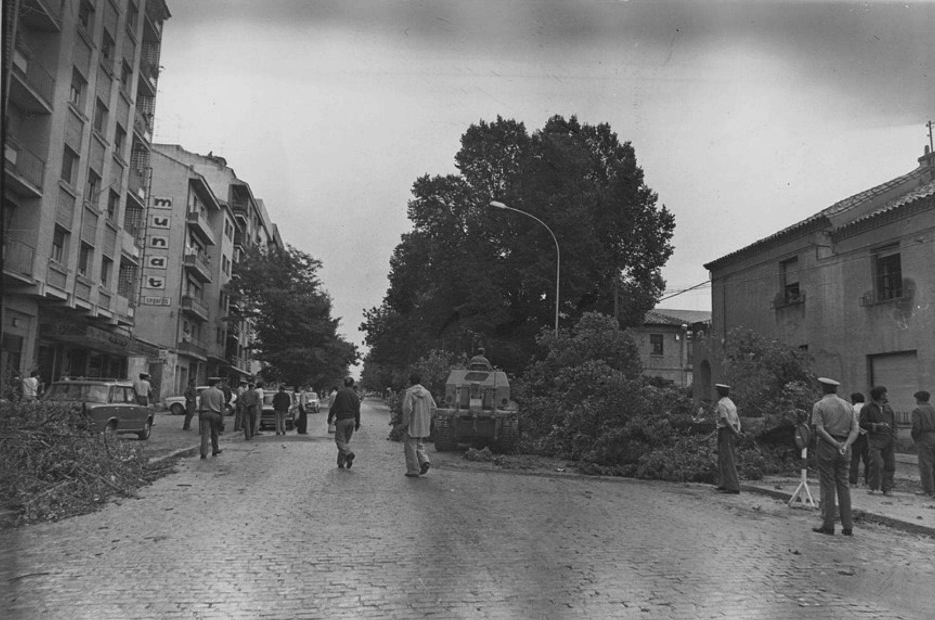 Árboles, máquinas, policías... 7 Archivo JMS Árboles, máquinas, policías... 7 Archivo JMS