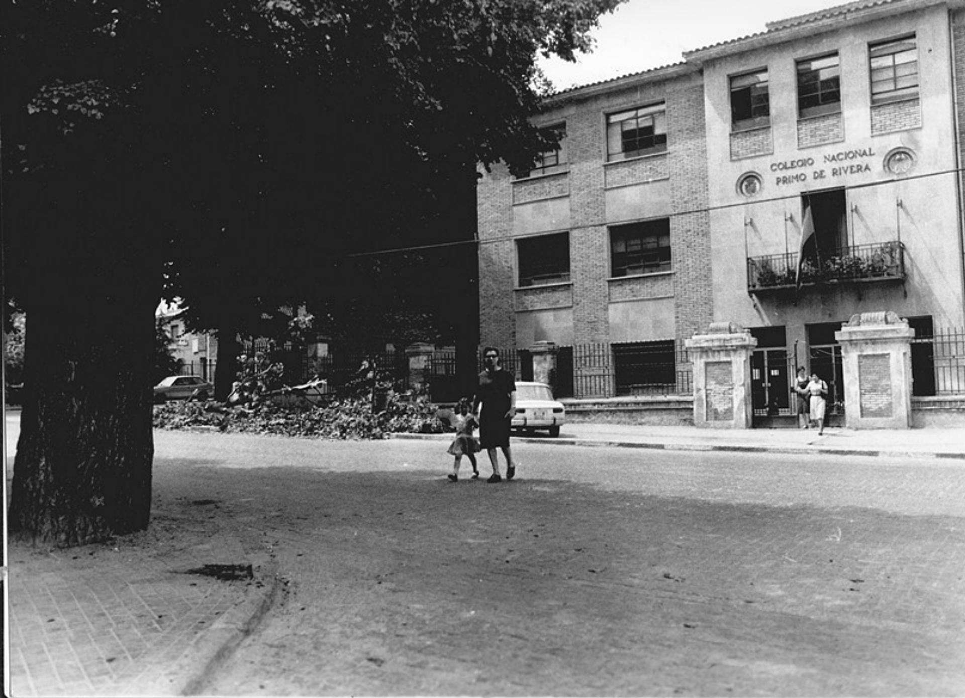 Como éste eran los cerca de cincuenta olmos que fueron talados. / JMS Como éste eran los cerca de cincuenta olmos que fueron talados. / JMS