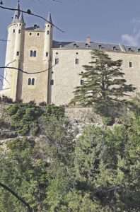 Imagen del cedro, desde la Cuesta Los Hoyos. Imagen del cedro, desde la Cuesta Los Hoyos.