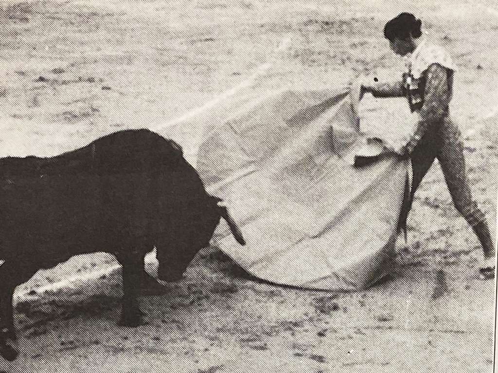 Alfredo Gomez Madrid Alfredo Gomez Madrid