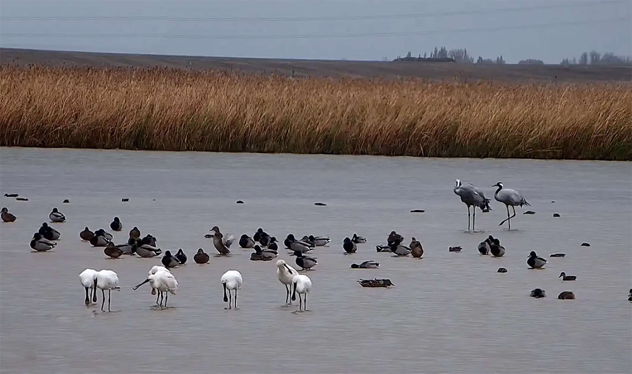 imágenes noticias web 1280*720 1