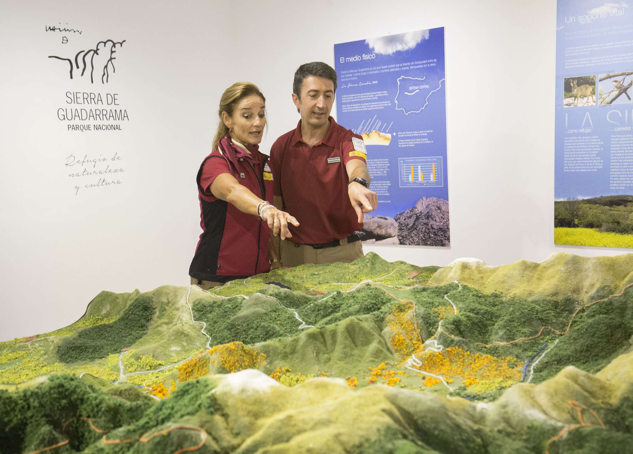 ROBERTO MANSO COMERZIO JOSE ZORRILLA