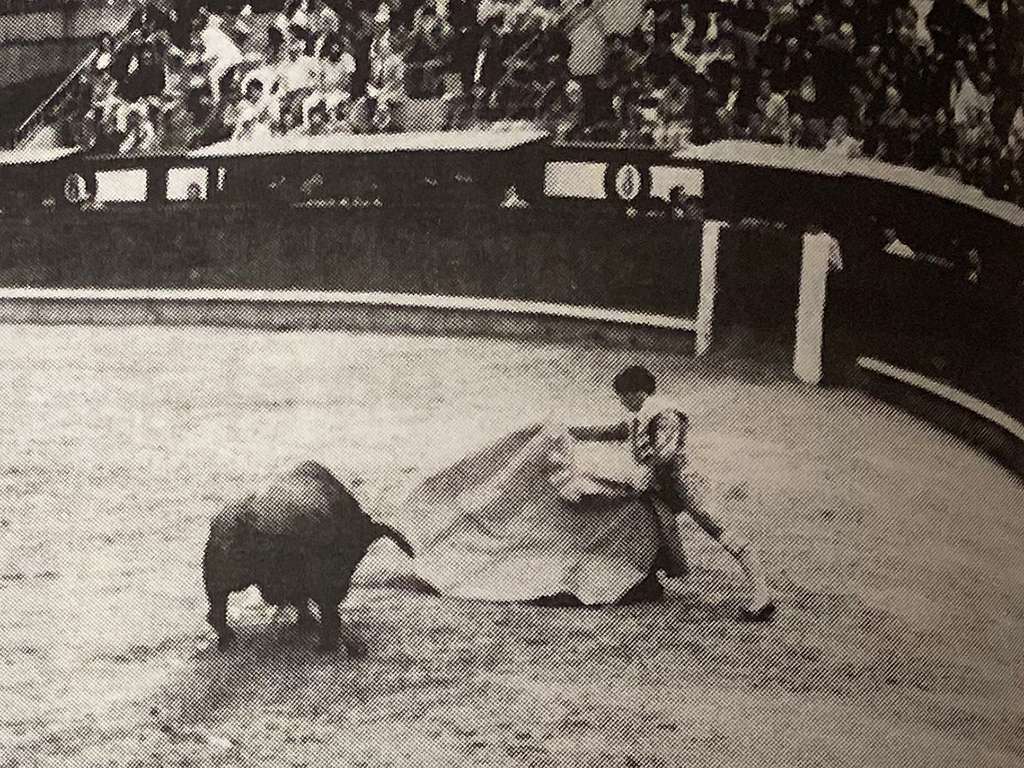 Oscar Gonzalez Madrid Oscar Gonzalez Madrid