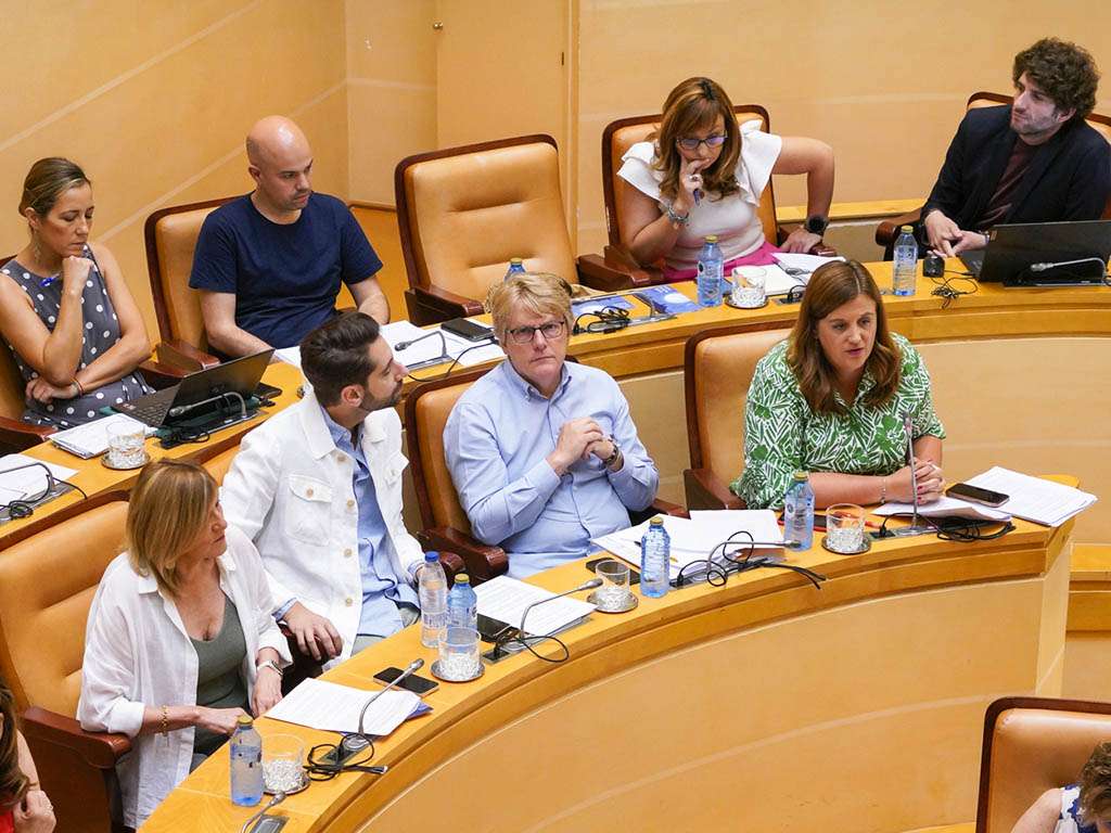 Concejales del Izquierda Unida y el PSOE en el Pleno del Ayuntamiento de Segovia. / MIGUEL ÁNGEL FERNÁNDEZ
