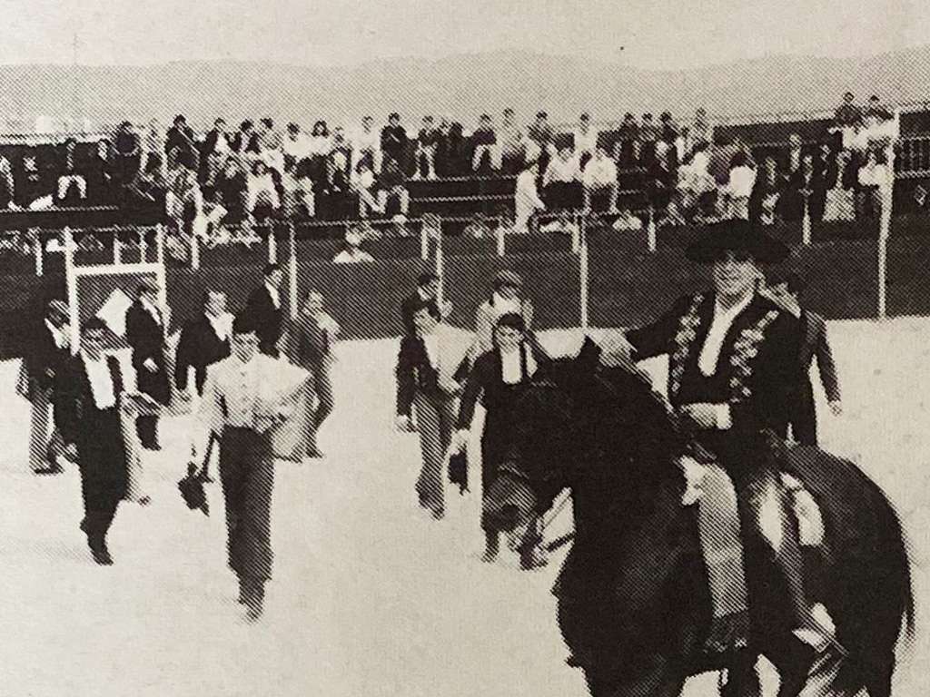 Primer paseíllo en el barrio del Cristo del Mercado: un festival taurino. / P.P.