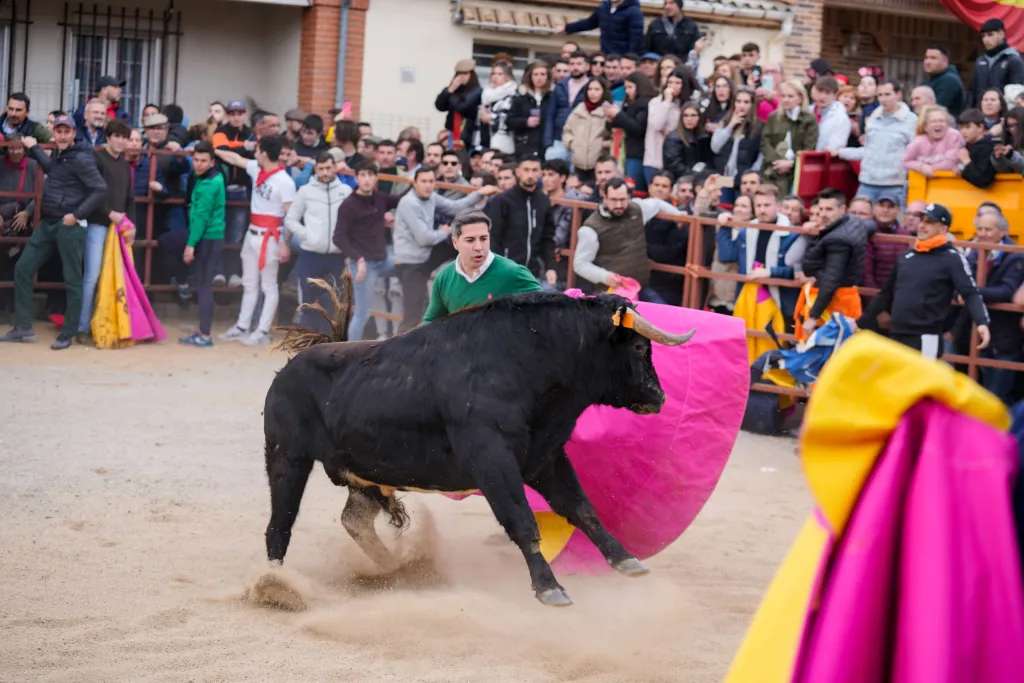 Carnaval Taurino de la pasada edición en Garcillán. / MIGUEL ÁNGEL FERNÁNDEZ