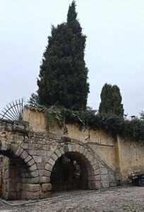 Cipreses del jardín de la Casa de los Lama. JMS. Cipreses del jardín de la Casa de los Lama. JMS.