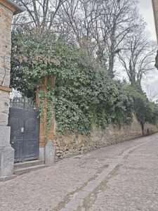 Arces y yedra sobre el muro del jardín de la familia. Peñalosa. / JMS