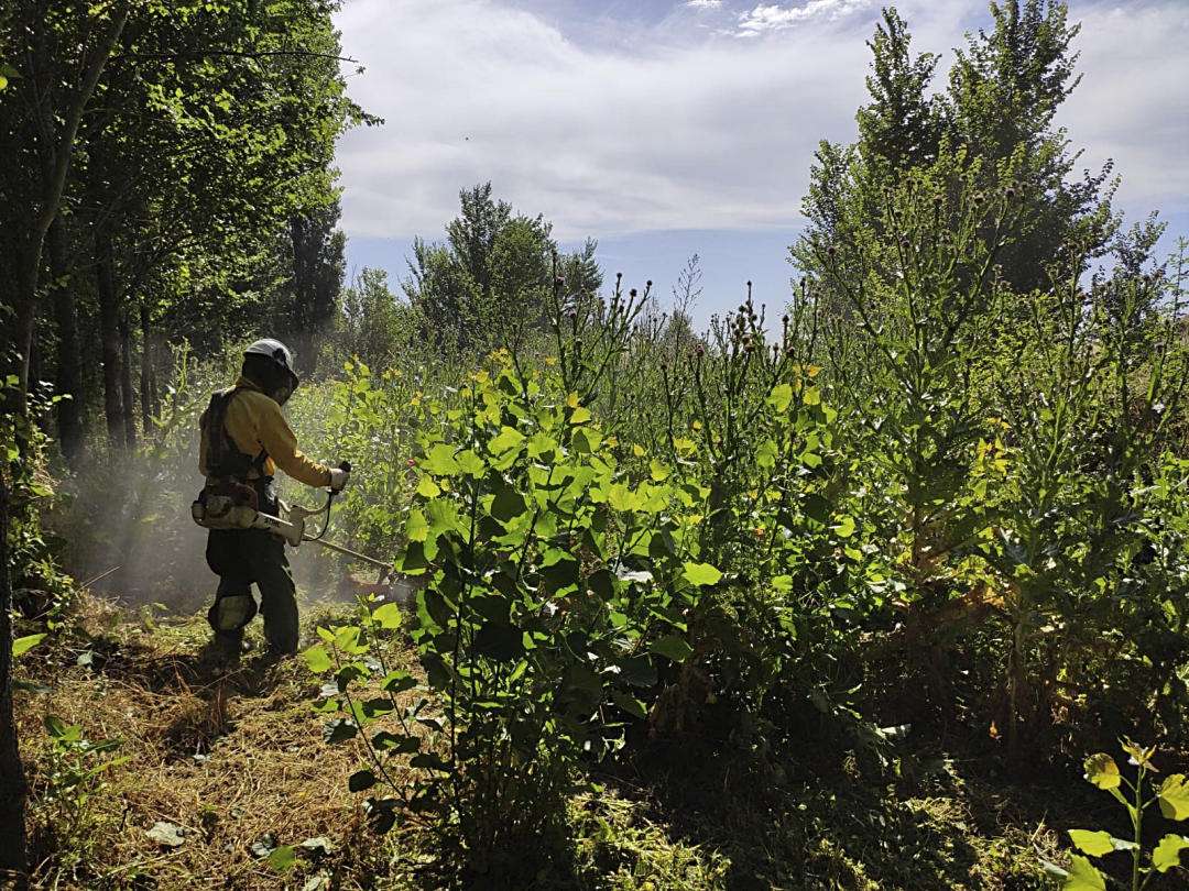 Un trabajador de las brigadas forestales