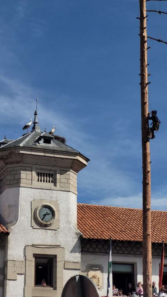 Alonso y la cigüeña de la torre. / La ventana de El Espinar Alonso y la cigüeña de la torre. / La ventana de El Espinar