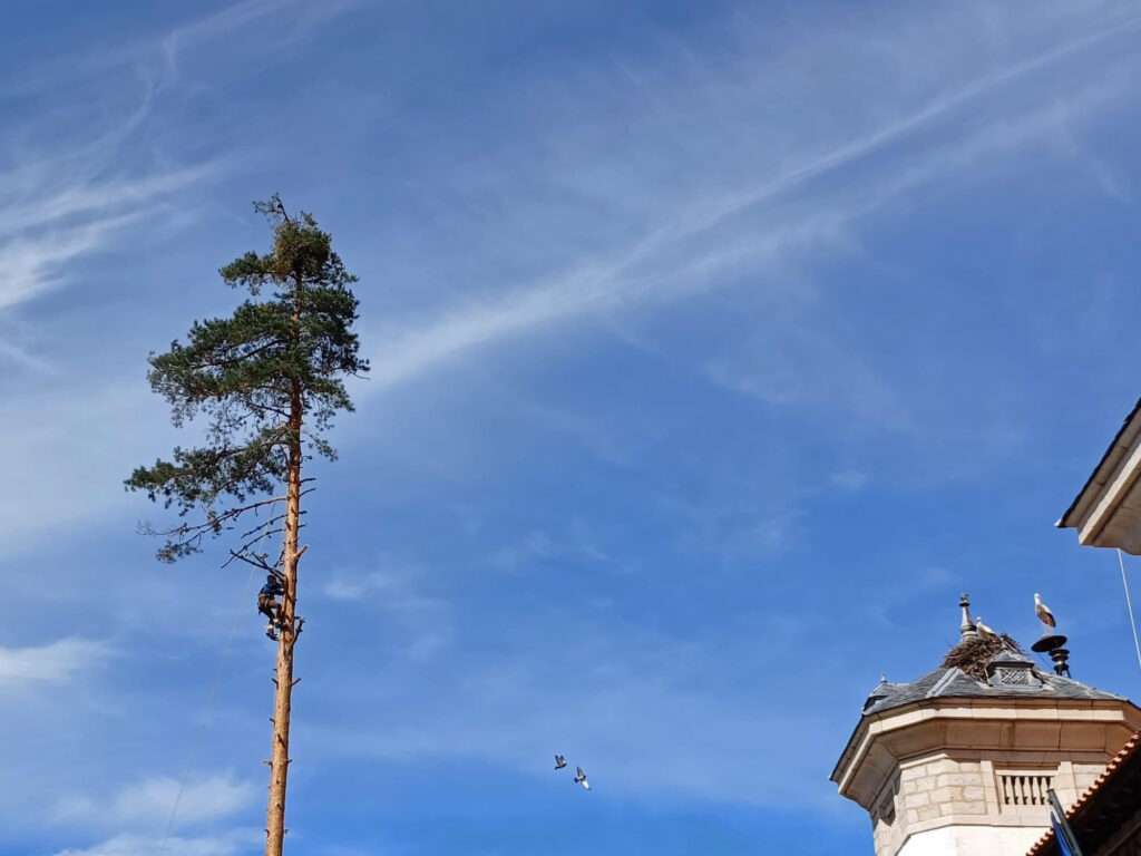 / La ventana de El Espinar / La ventana de El Espinar