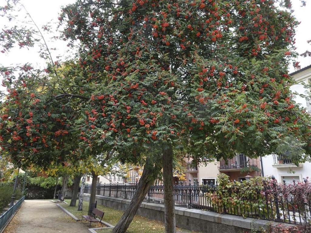 4 instituto Serbal Instituto