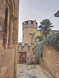 Palmera entre la iglesia románica y el torreón fortaleza. / JMS