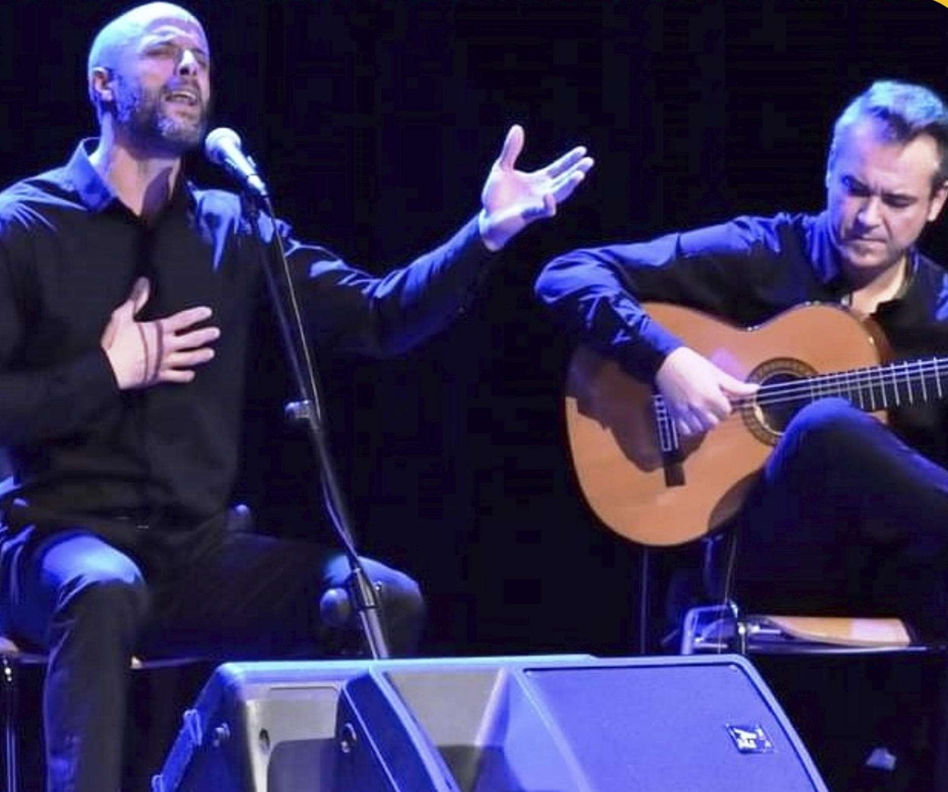 Javier Fernández y Nacho Estébez en una actuación