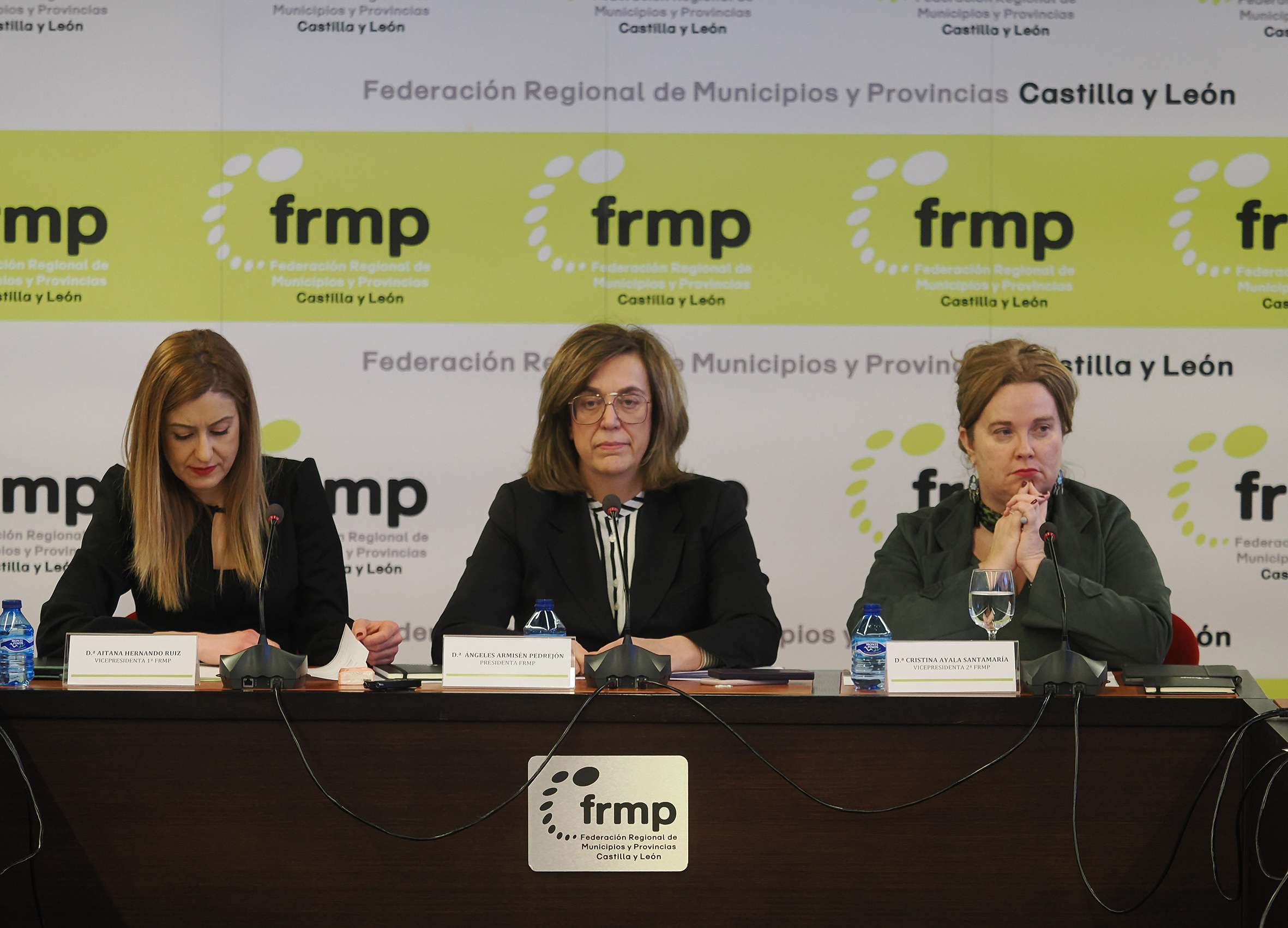 Constitución de la Comisión Ejecutiva de la FRMPCyL