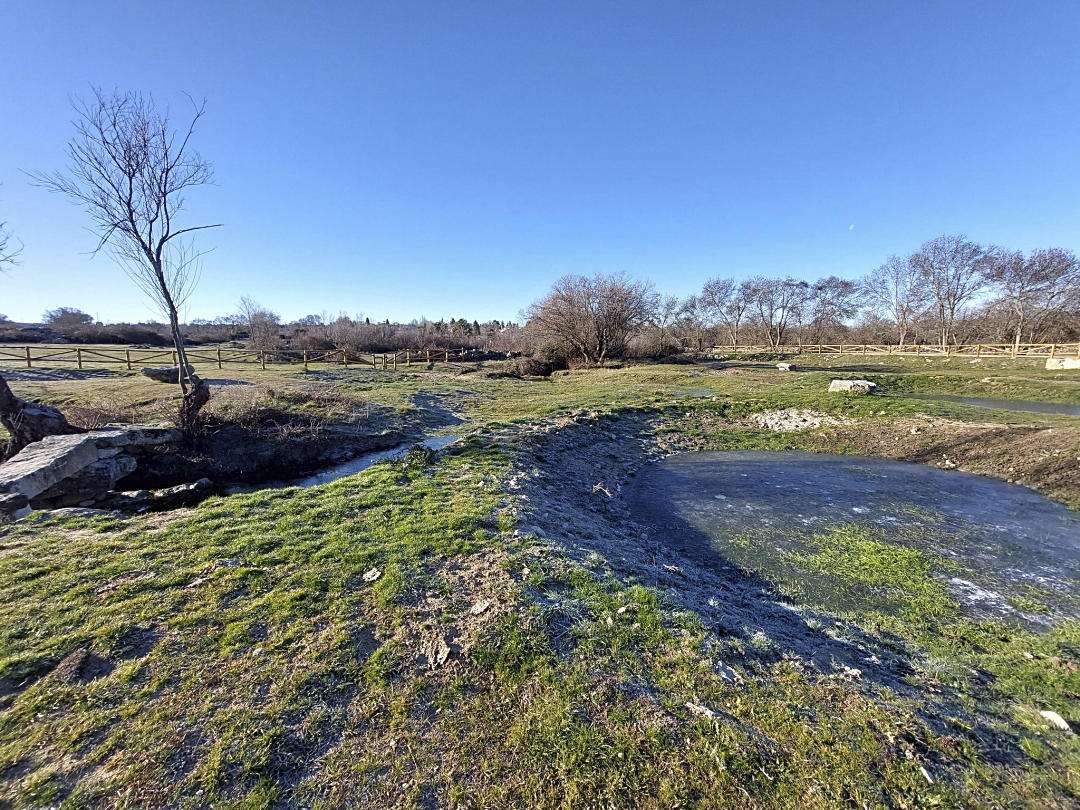 Plantación de frutales para recuperar la flora en Torrecaballeros 1 Torrecaballeros posee un rico patrimonio natural