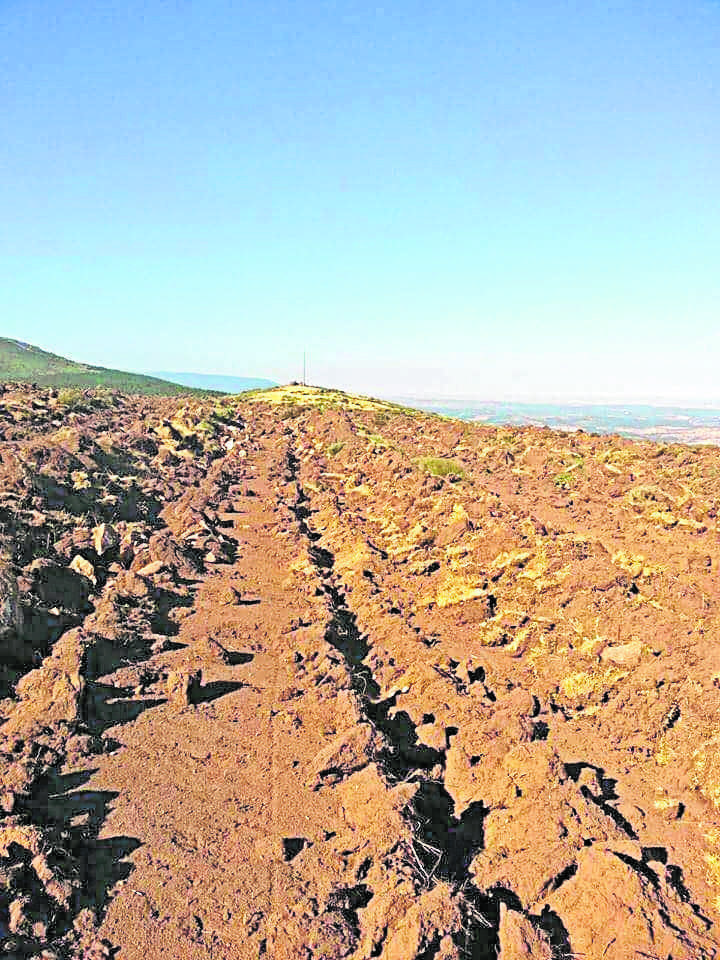 Parcela agraria en Sigueruelo