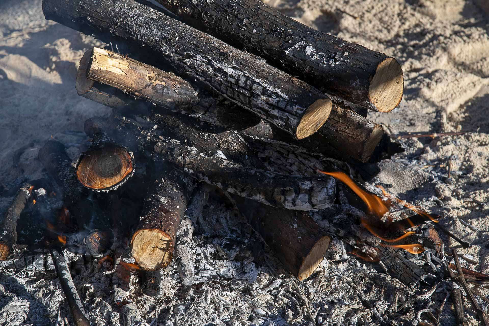 Foto de archivo. Matanza del cerdo / E.A.