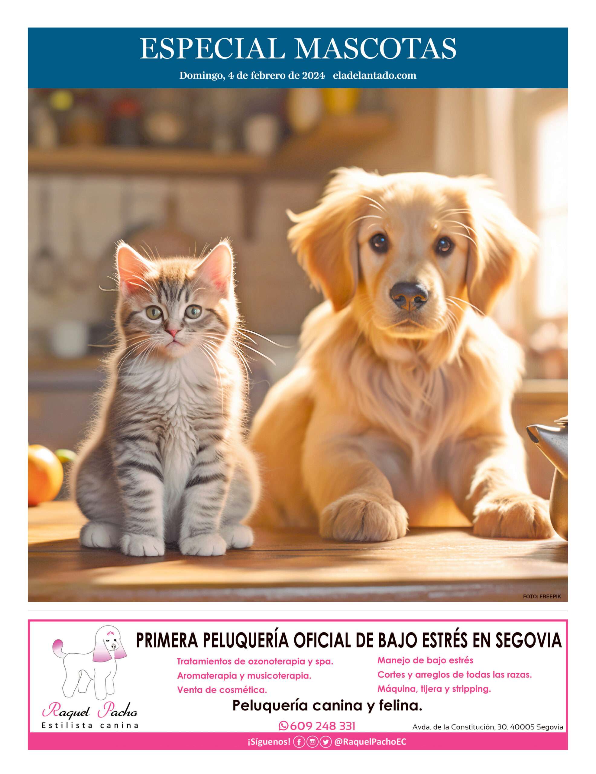 PORTADA MASCOTAS
