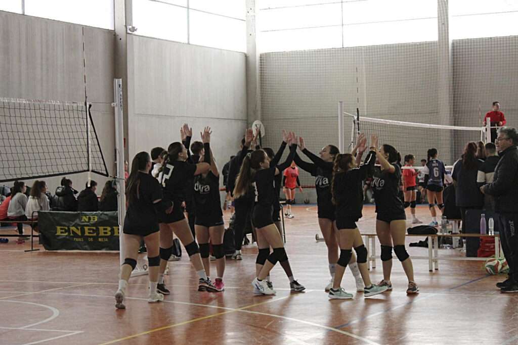 Equipo de la F. CC Sociales SG Voleibol . / Asociación Alfil Juvenil 