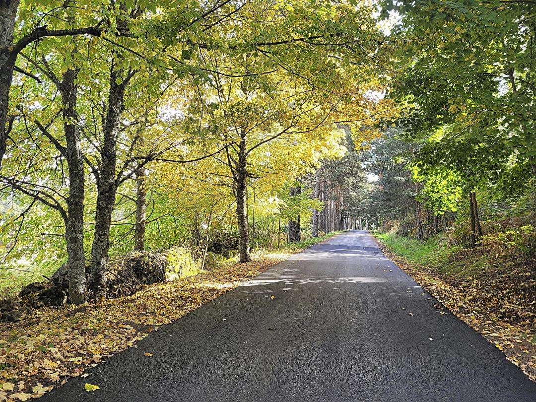 el espinar pista forestal