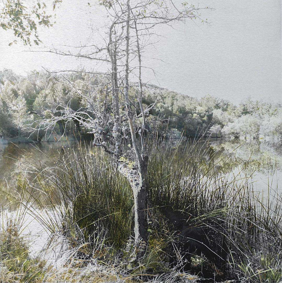 Una de las creaciones que forman la serie que la artista y arquitecta madrileña ha dedicado al paisaje segoviano y expone en ‘Vida Silenciosa’ en ‘Espacios Mados’, hasta el 10 de febrero.