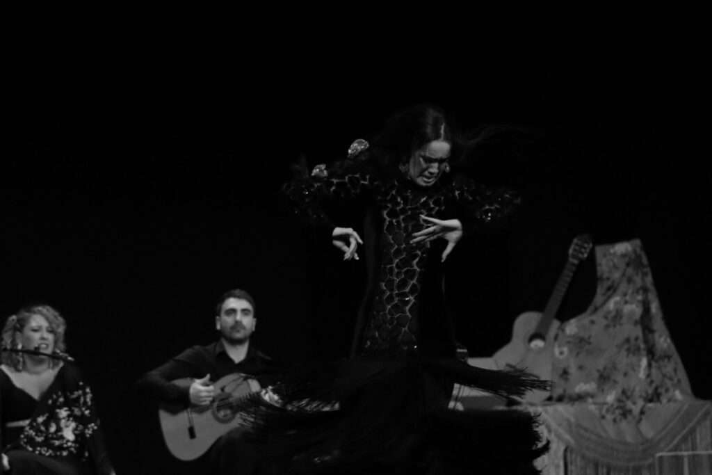 020324 Flamencura DavidVidalRedondo10