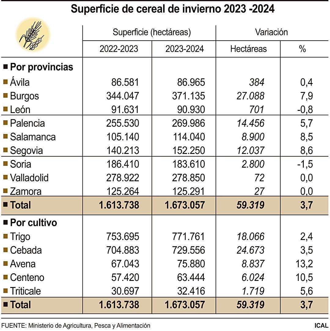 Superficie de cereal de invierno 2023 2024 (10cmx10cm)