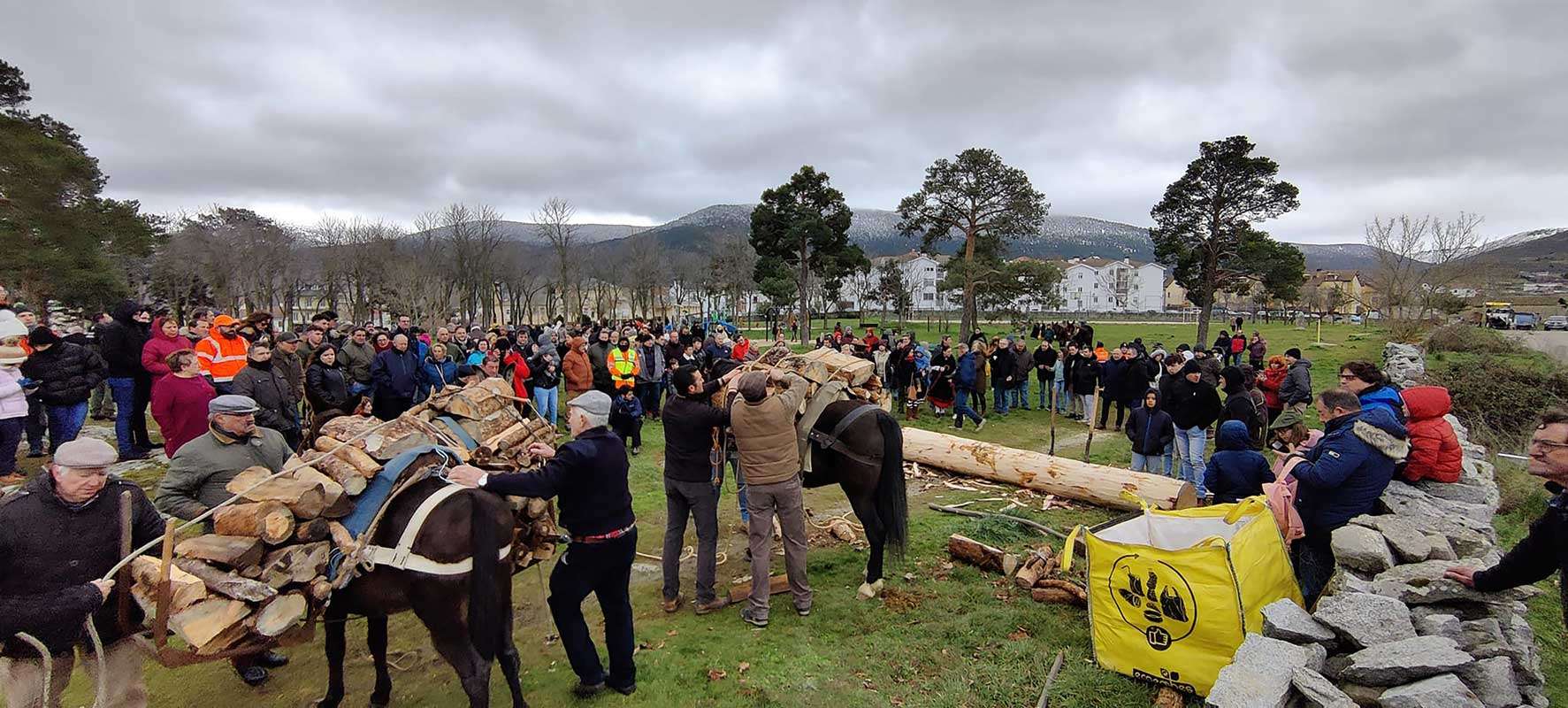 Los gabarreros cargan la leña sobre los caballos y las mulas para realizar una exhibición.