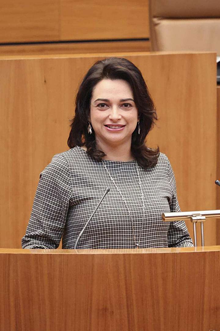 Alicia Palomo Cortes CyL