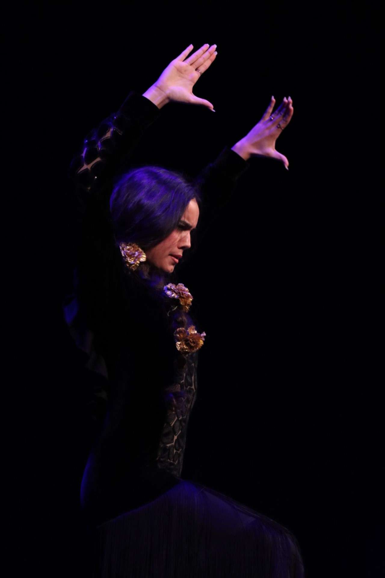 Flamencura DavidVidalRedondo9