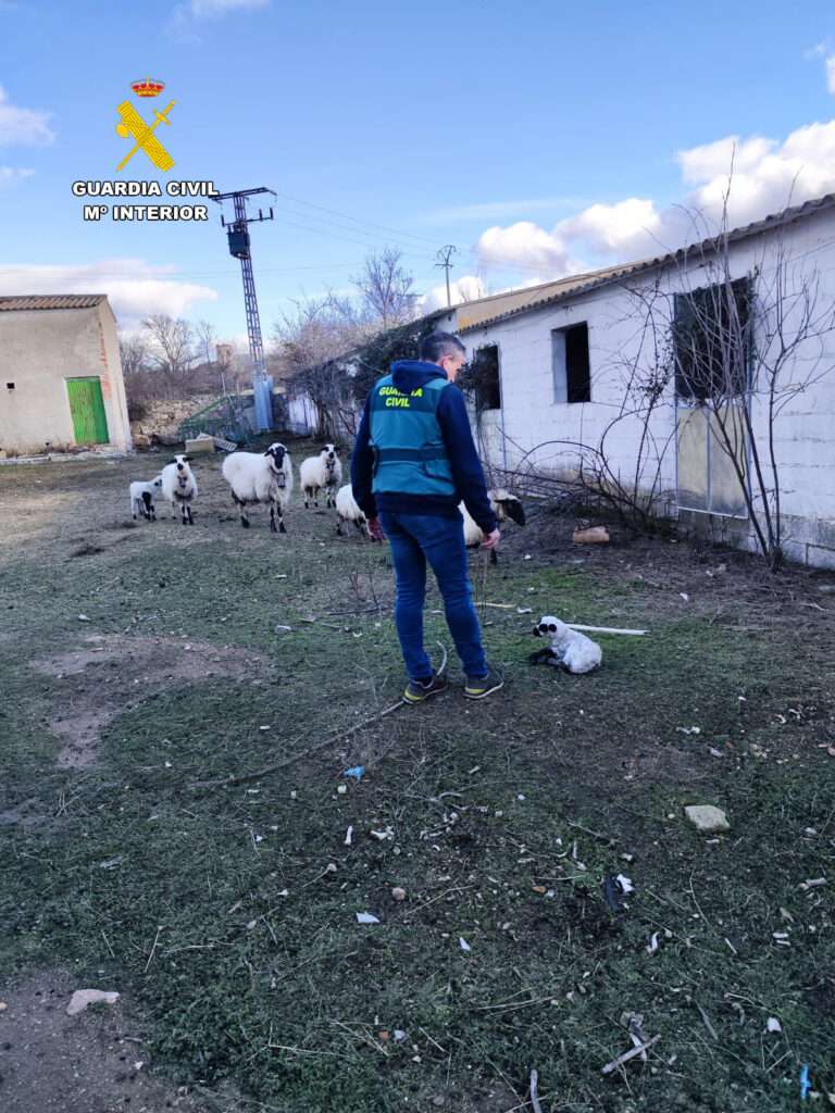 GUARDIA CICIL TORRECABELLEROS GUARDIA CICIL TORRECABELLEROS