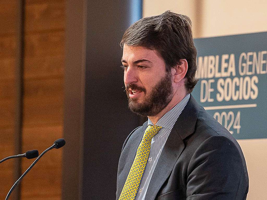El vicepresidente de la Junta de Castilla y León, Juan García-Gallardo. / LUIS HORCAJADA