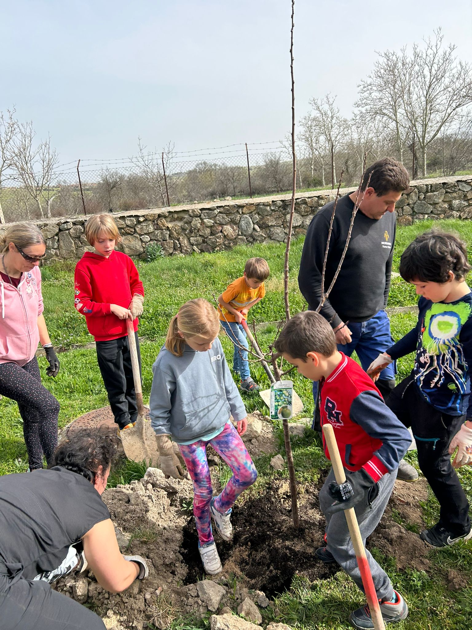 PLANTACIÓN ÁRBOLES CABANILLAS