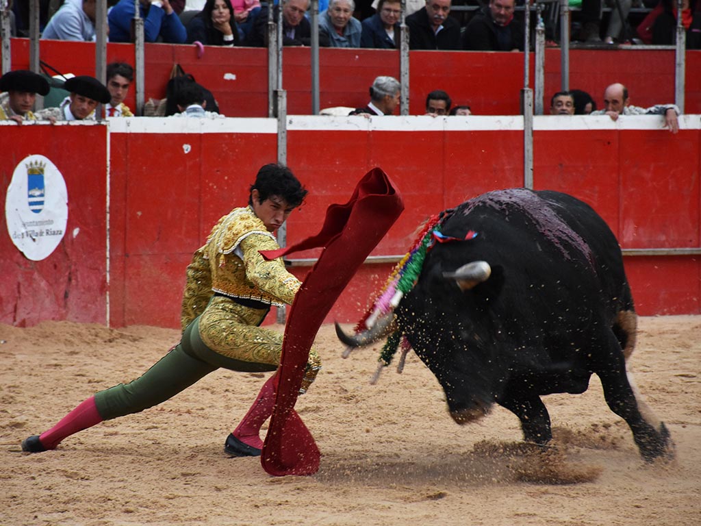 Riaza, un aniversario por y para el toro 2 Inicio muletero del diestro mexicano Isaac Fonseca a un toro de Valdellán, en Riaza. / A.M.