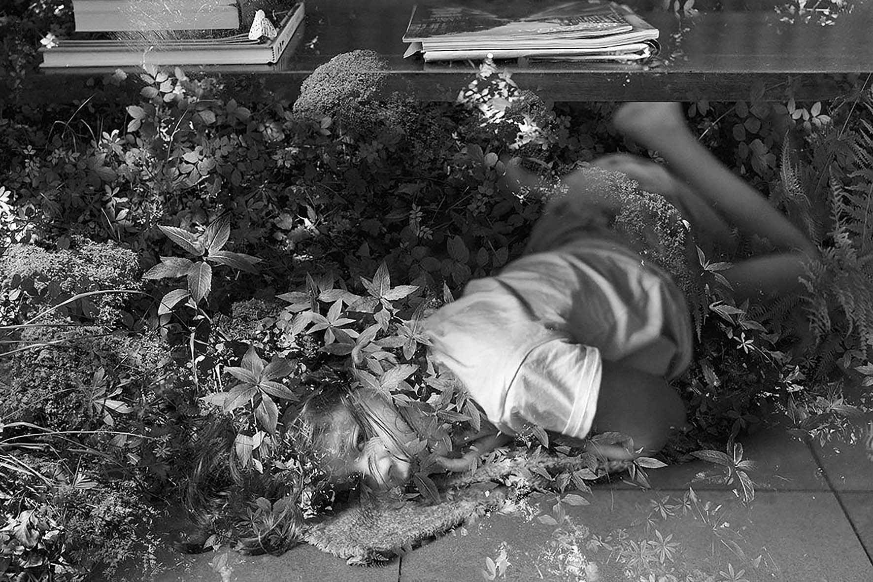 EL BOSQUE EN LOS OJOS Juan Millás