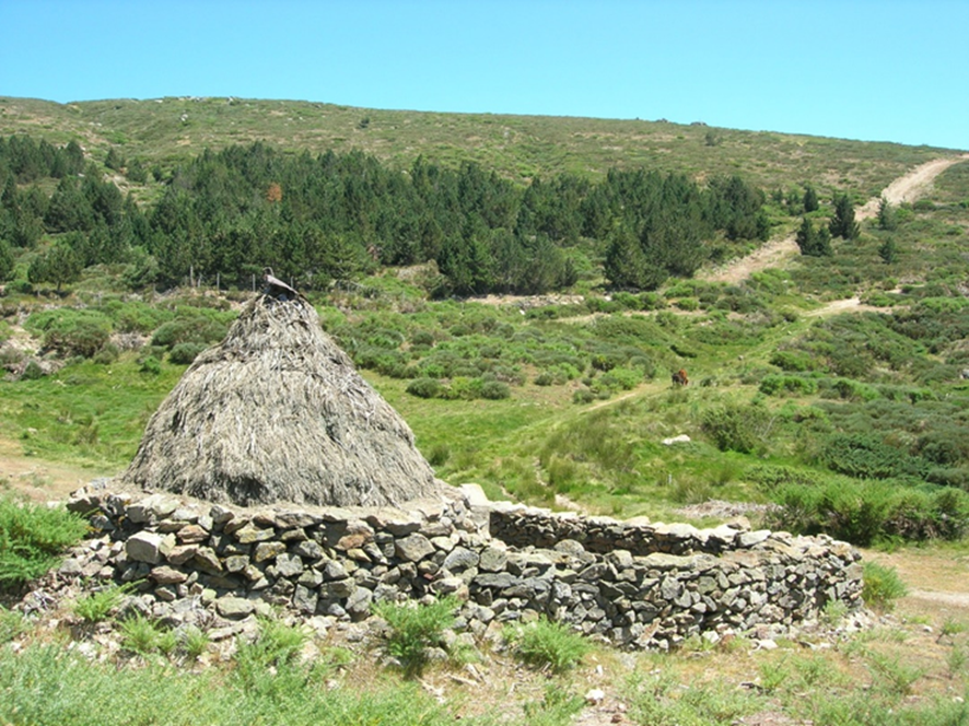 Finca donde se llevará a cabo el proyecto