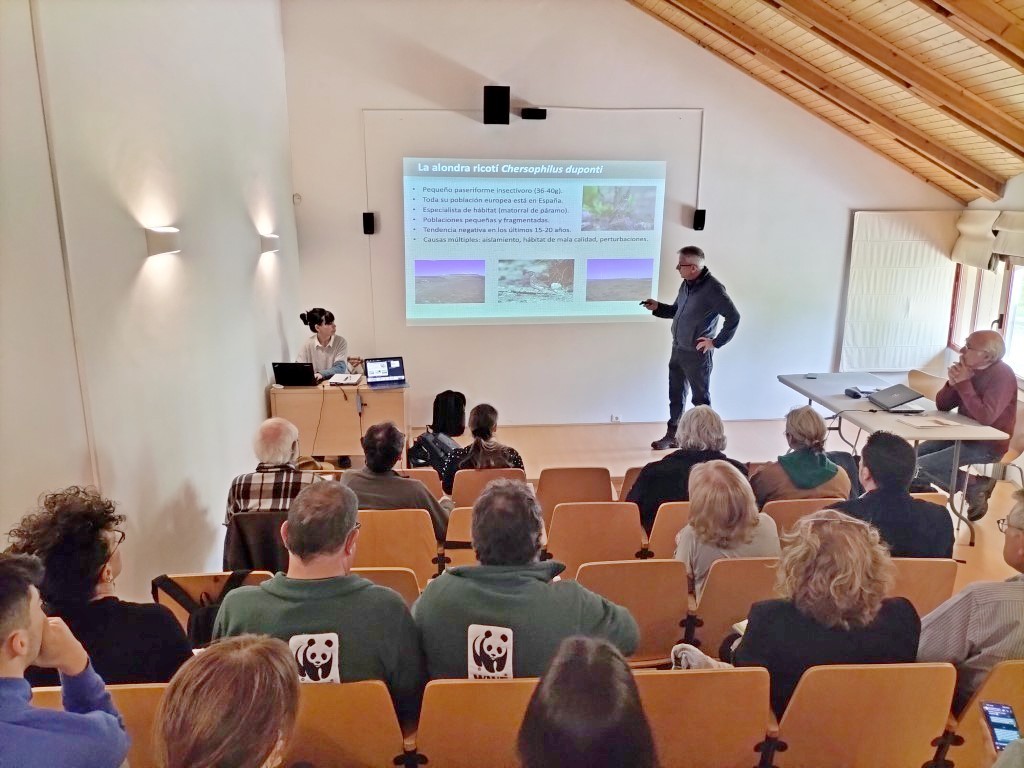 Reunión del Foro Permanente