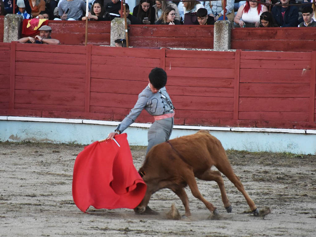 Segovia Daniel Hernandez Segovia Daniel Hernandez