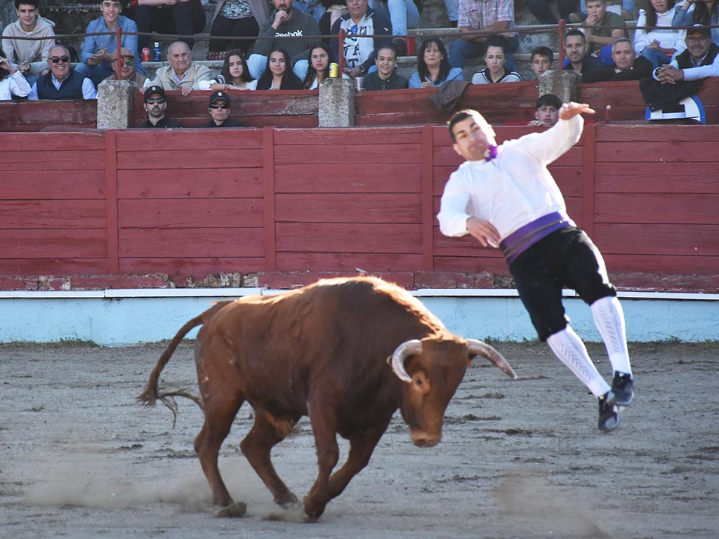 Segovia Jorge Gomez Segovia Jorge Gomez