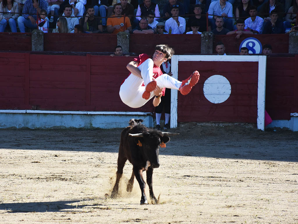 Segovia Recortador Segovia Recortador