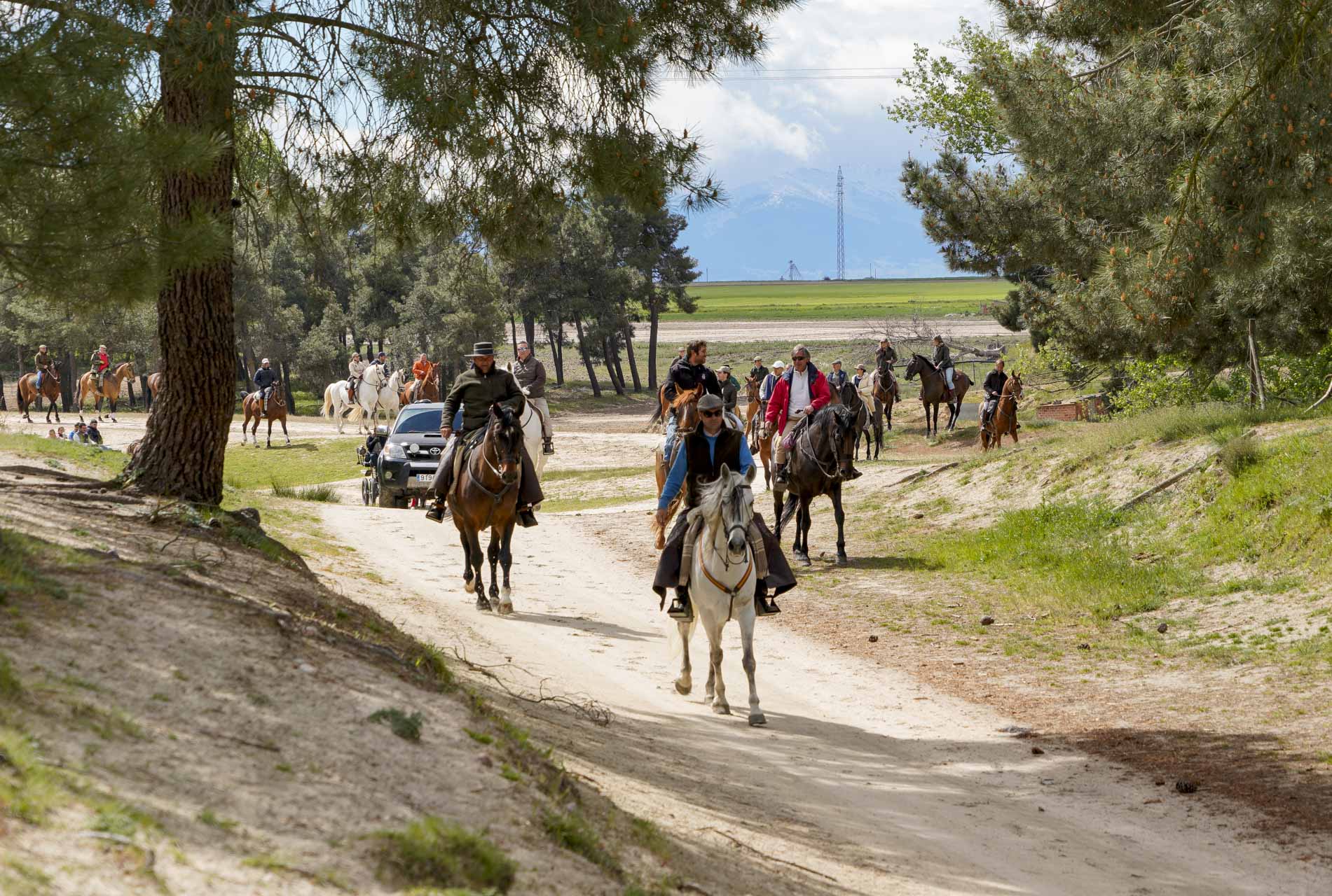 XII Feria del Caballo en Mozoncillo