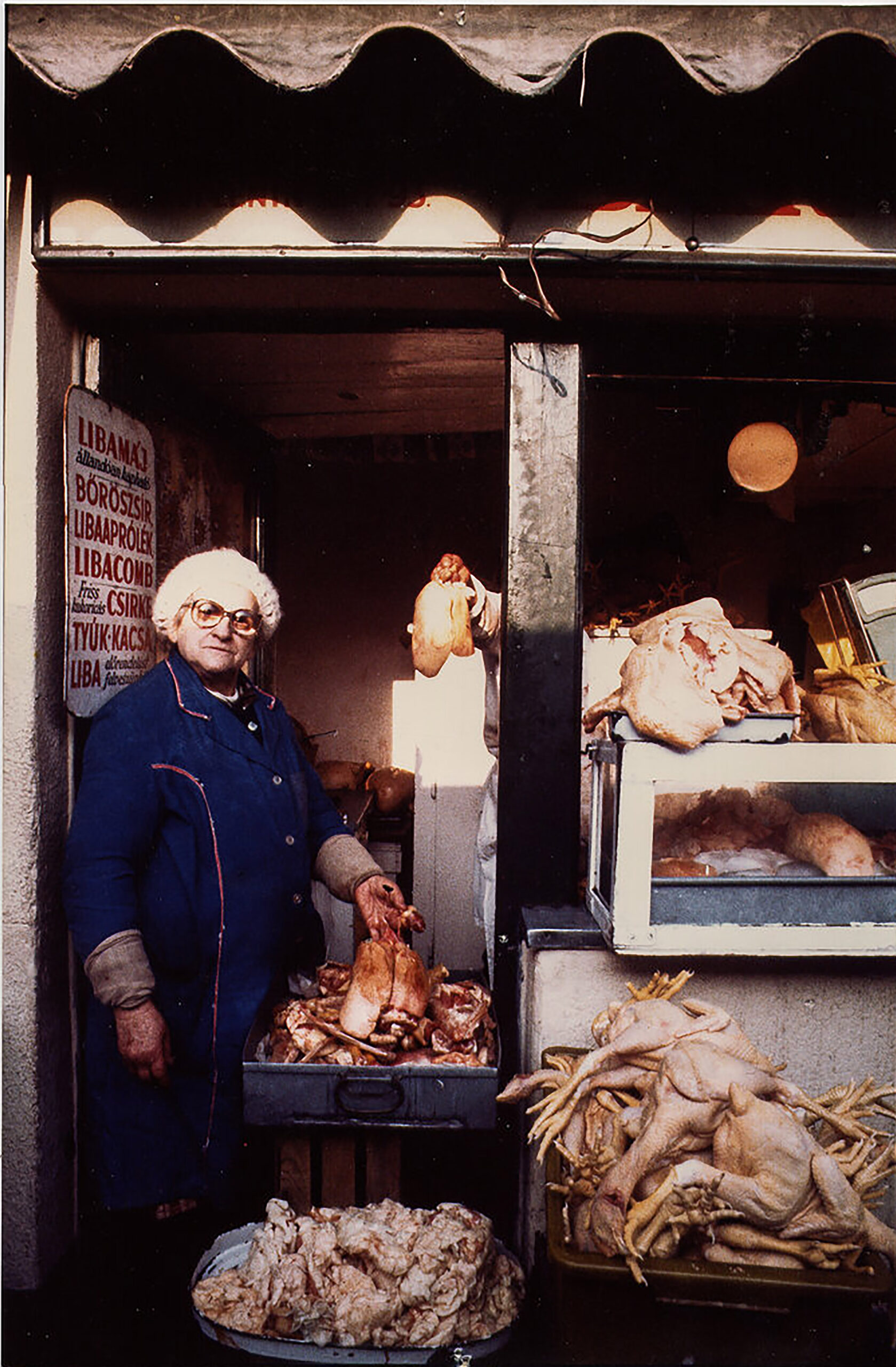 chickens henny garfunkel